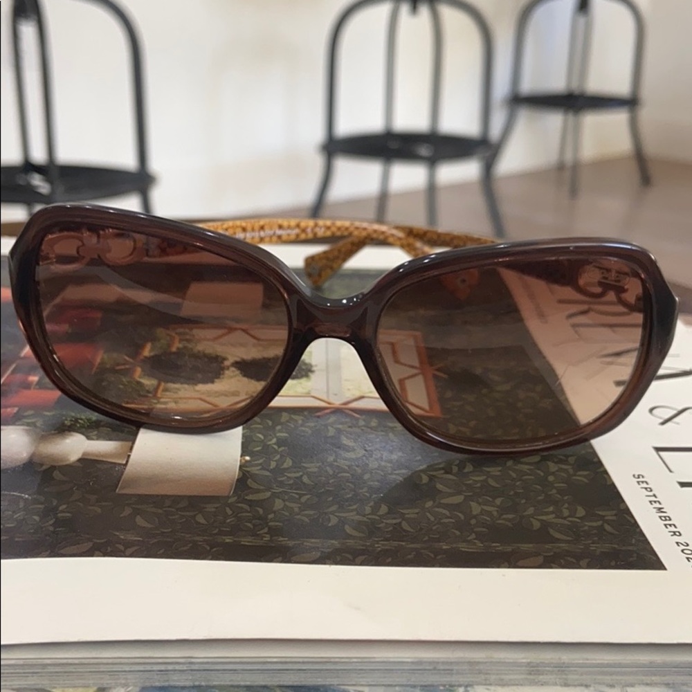 Coach Beatrice -HC8019 Brown Sunglasses